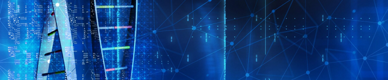 221b AML Network Analytics